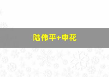 陆伟平 申花